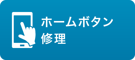 �z�[���{�^���C��