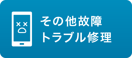 ���̑��̏�g���u���C��